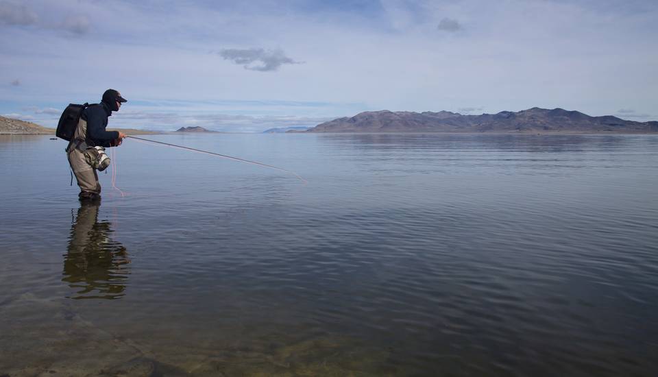 Chasing Pyramid Lake's Lahontans