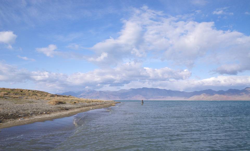 Chasing Pyramid Lake's Lahontans