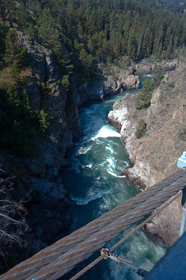 Looking down on the Yellowstone River.