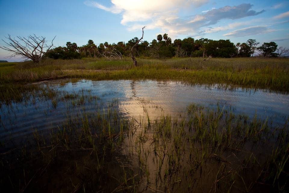 Fly Fishing South Carolina Lowcountry