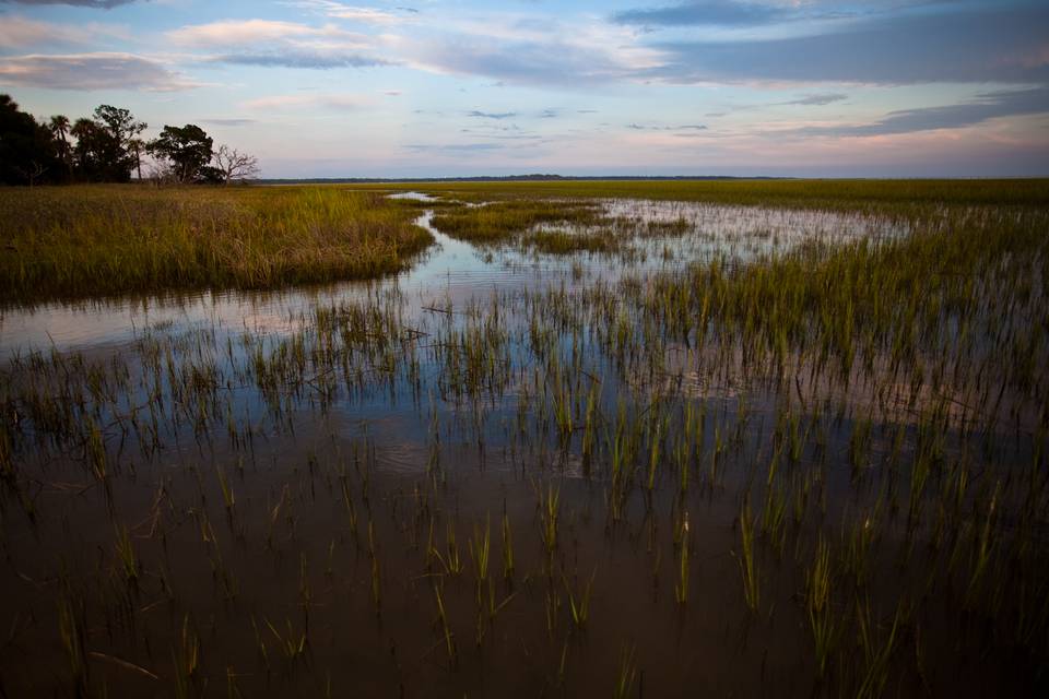 South Carolina Broad River Flats