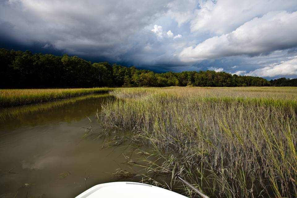 Harbor River Fly Fishing