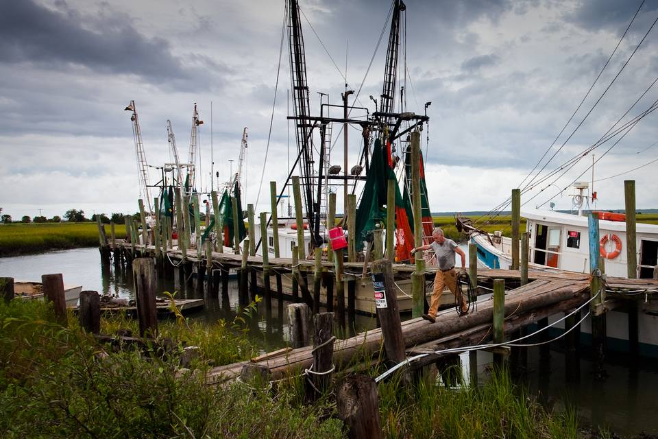 South Carolina Shrimp Boats