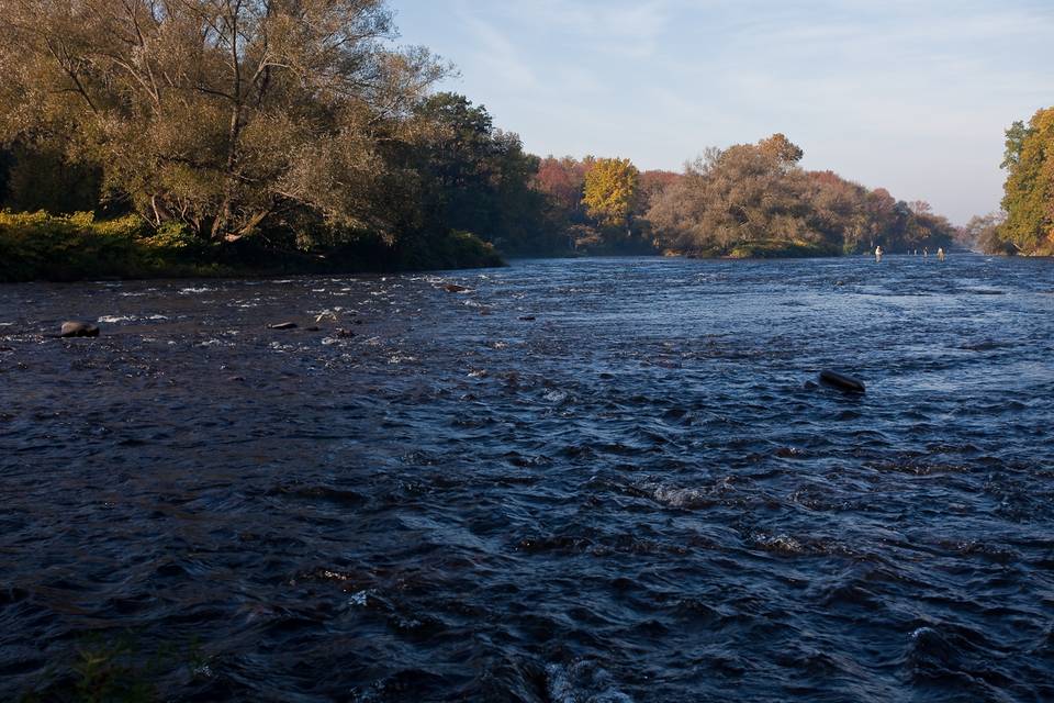 Douglaston Salmon Run