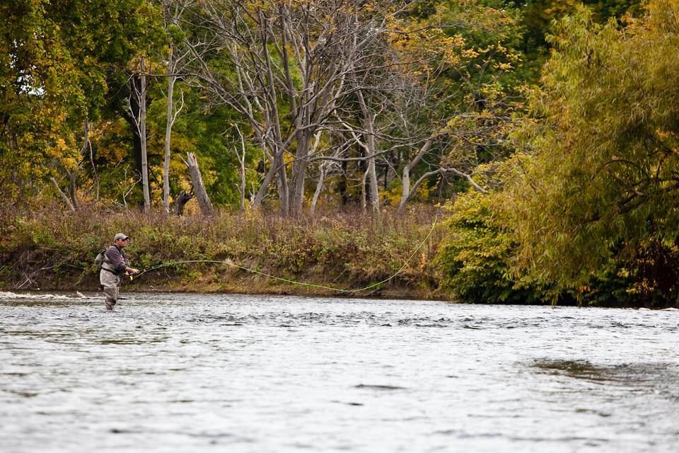 Douglaston Salmon Run below Meadow Run