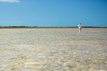 andros island bonefish