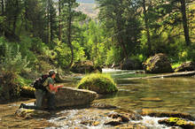 12 Dry Fly Fishing Tips