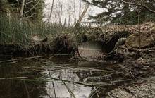 muddy culvert