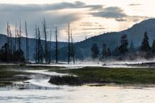 madison river montana