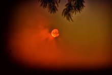australian bushfires