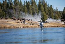 Fly Fishing Yellowstone Nat'l Park