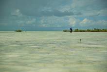 flats wading bahamas