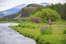 patagonia spring creek