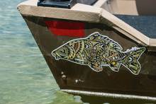 carp sticker drift boat