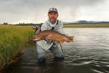 henry's fork cutthroat trout