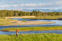 fly fishing madison river