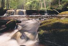 michigan brook trout stream