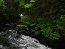 Tongass National Forest Stream