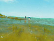 beaver island fly fishing