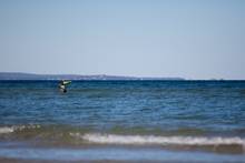 striped bass fly fishing