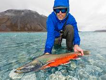 dolly varden | arctic national wildlife refuge