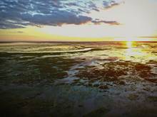 ibera marshlands argentina