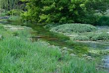 Falling Springs Branch Creek, Cumberland Valley, Pennsylvania