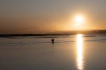 iceland fly fishing