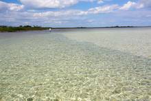 bonefish flat