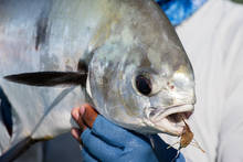 Fly Fishing for Permit (photo: Chad Shmukler).