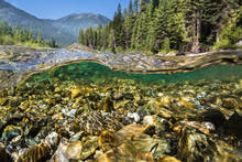 Canadian Rocky Mountain trout stream