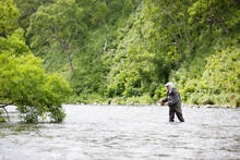 sage x fly fy rod - savan river fly fishing - kamchatka, russia