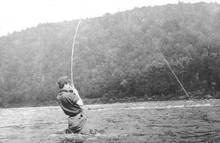 Zane Grey Fishing 