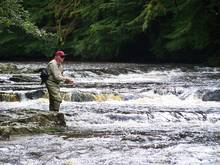 Fly Fishing Tongass National Forest