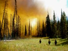 USFS wildfire caribou targhee national forest