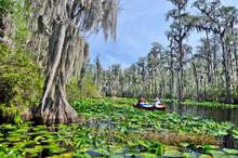 Okefenokee National Wildlife Refuge