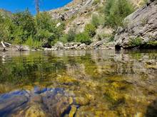 trout stream