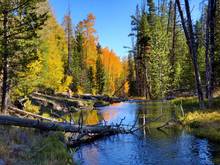 small trout stream utah