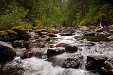 steamboat creek