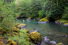 fly fishing molala river