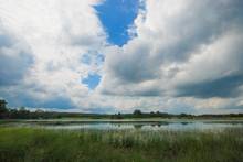 Karner Blue Meadow State Natural Area