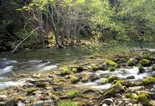 eel wild and scenic river