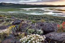 bodie hills california