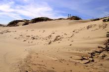 south padre island dunes | texas