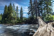 fly fishing river montana