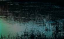 midnight pond scene