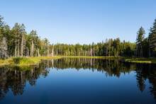 maine pond