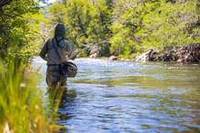 fly fishing for trout