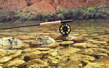 ECHO BASE Fly Rod