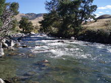 The Gardner River in Yellowstone National Park